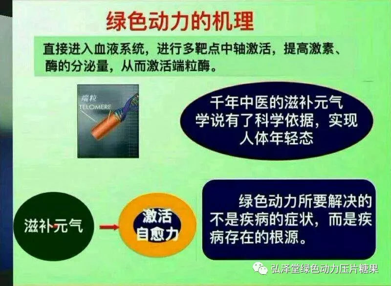 弘澤堂<a href=http://m.yangct.com/cp/shengming/1910.html target=_blank class=infotextkey>綠色動力</a>簡介 弘澤堂<a href=http://m.yangct.com/cp/shengming/1910.html target=_blank class=infotextkey>綠色動力</a>簡介