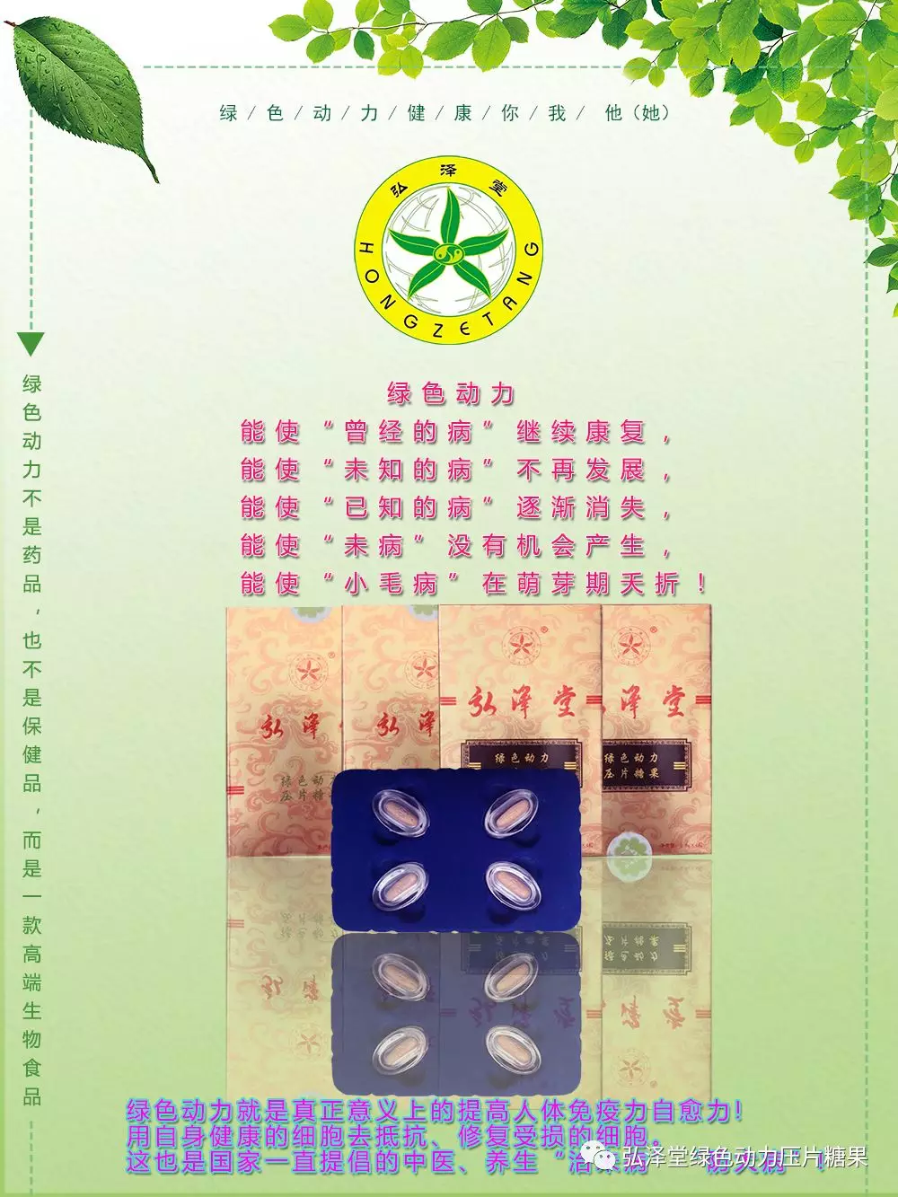 弘澤堂<a href=http://m.yangct.com/cp/shengming/1910.html target=_blank class=infotextkey>綠色動力</a>簡介 弘澤堂<a href=http://m.yangct.com/cp/shengming/1910.html target=_blank class=infotextkey>綠色動力</a>簡介