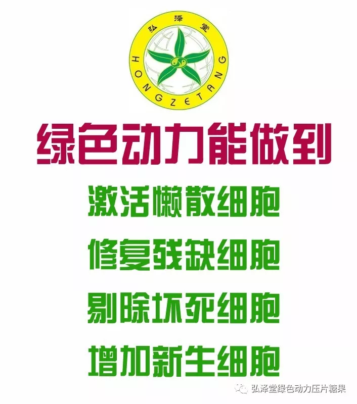 弘澤堂<a href=http://m.yangct.com/cp/shengming/1910.html target=_blank class=infotextkey>綠色動力</a>簡介 弘澤堂<a href=http://m.yangct.com/cp/shengming/1910.html target=_blank class=infotextkey>綠色動力</a>簡介