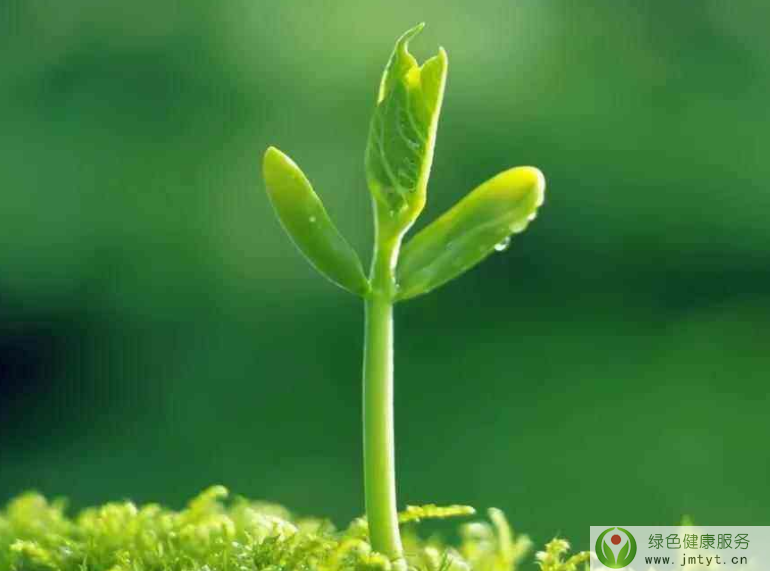 春季養生之道:詳解春季如何養生