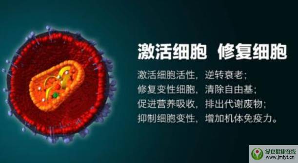 肽的作用.png 肽的作用.png