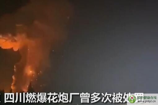 四川燃爆花炮廠曾多次被處罰-視頻截圖