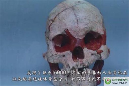 16000年前的人頭骨化石